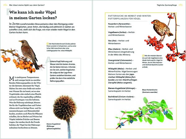 Produktbild: Wer klaut meine &Auml;pfel aus dem Garten
