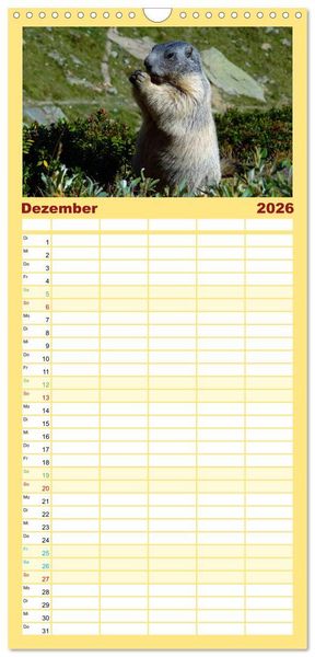 Produktbild: Familienplaner 2026 - Und ewig pfeift das Murmeltier mit 5 Spalten (Wandkalender, 21 x 45 cm) CALVENDO