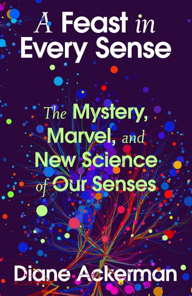 Produktbild: A Feast in Every Sense