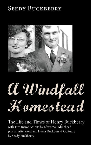 Produktbild: A Windfall Homestead