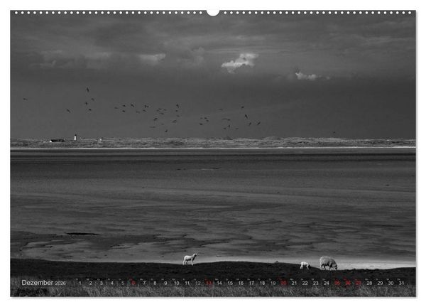 Produktbild: 54&deg;54'57"N 8&deg;19'51"E SYLT (Wandkalender 2026 DIN A2 quer), CALVENDO Monatskalender