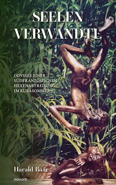 Seelenverwandte, Taschenbuch von Harald Baar, Novum Verlag, 9783711610874