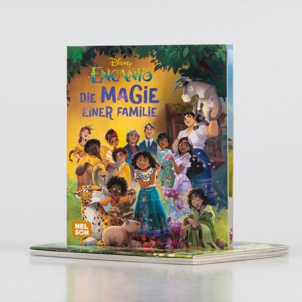Produktbild: Nelson Mini-Bücher: 4er Disney Encanto 1-4
