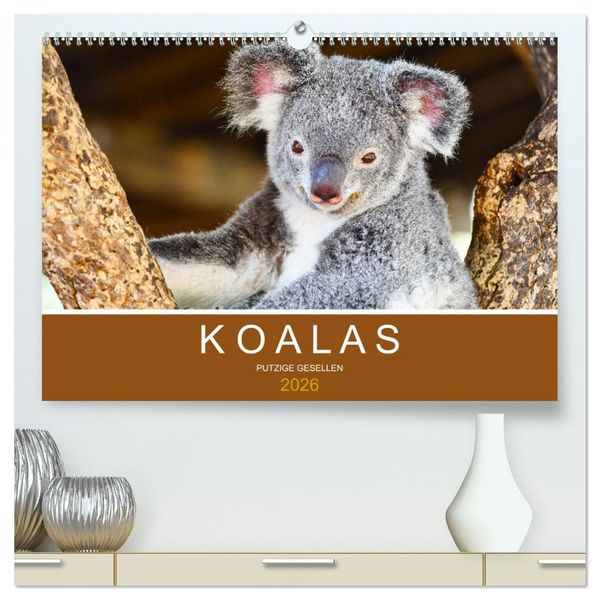Koalas, putzige Gesellen (hochwertiger Premium Wandkalender 2026 DIN A2 quer), Kunstdruck in Hochglanz