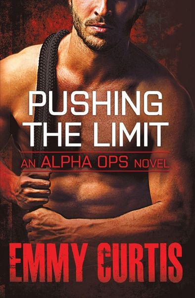 Produktbild: Pushing the Limit