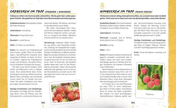Produktbild: G&auml;rtnern: kann jede*r!