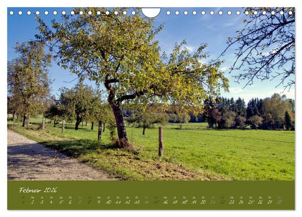 Produktbild: Spaziergang um das Kloster St. Ottilien (Wandkalender 2026 DIN A4 quer), CALVENDO Monatskalender