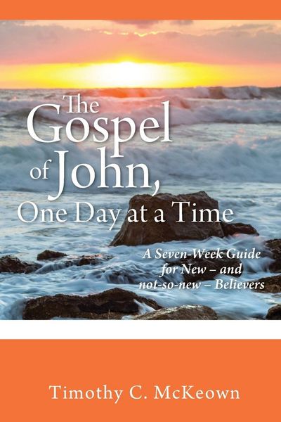 Produktbild: The Gospel Of John, One Day At a Time