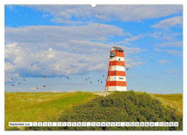 Produktbild: D&auml;nemark Pur (Wandkalender 2026 DIN A2 quer), CALVENDO Monatskalender