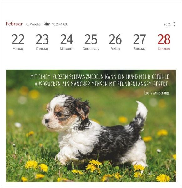 Produktbild: Hunde Premium-Postkartenkalender 2027 - Freunde auf vier Pfoten; Kalender mit 53 Postkarten