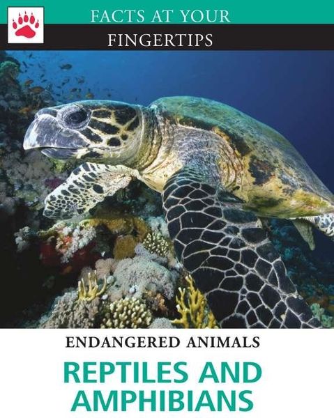 Produktbild: Reptiles and Amphibians