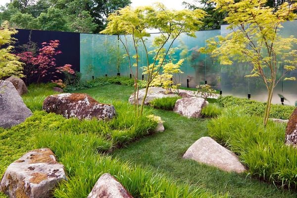 Produktbild: Sichtschutz im Garten