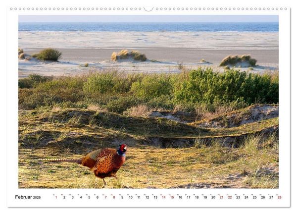 Produktbild: Wir fahren nach Borkum (Wandkalender 2026 DIN A2 quer), CALVENDO Monatskalender