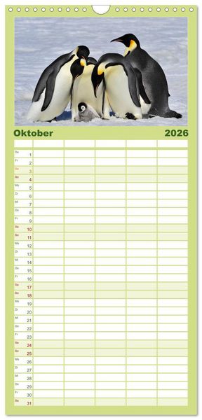 Produktbild: Familienplaner 2026 - Pinguine - Watscheln im festlichen Kleid mit 5 Spalten (Wandkalender, 21 x 45 cm) CALVENDO