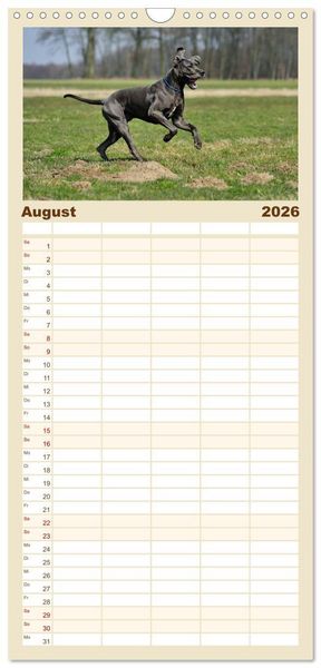 Produktbild: Familienplaner 2026 - Deutsche Doggen / Geburtstagskalender mit 5 Spalten (Wandkalender, 21 x 45 cm) CALVENDO