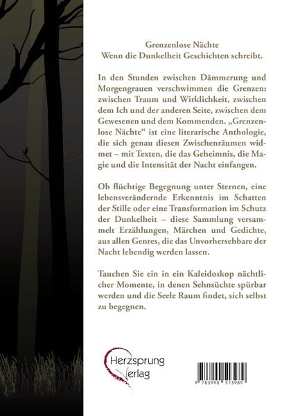 Produktbild: Grenzenlose N&auml;chte - Geschichten der Sehnsucht und Verwandlung