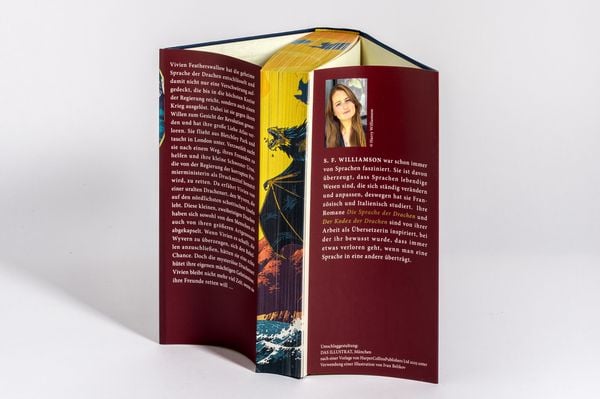 Produktbild: Der Kodex der Drachen