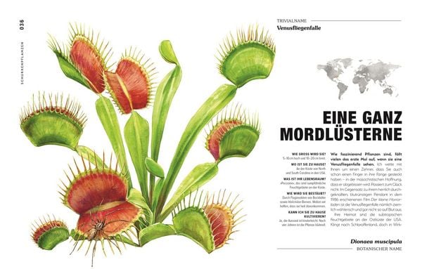 Produktbild: Kuriose Pflanzen