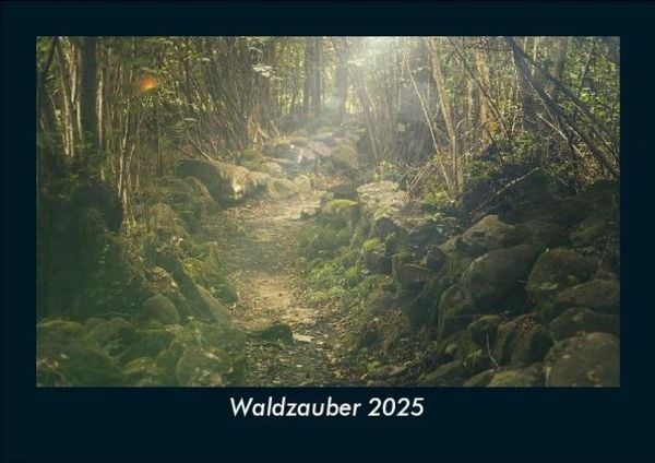 Produktbild: Waldzauber 2025 Fotokalender DIN A5
