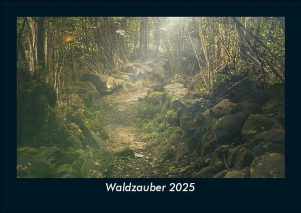 Produktbild: Waldzauber 2025 Fotokalender DIN A5