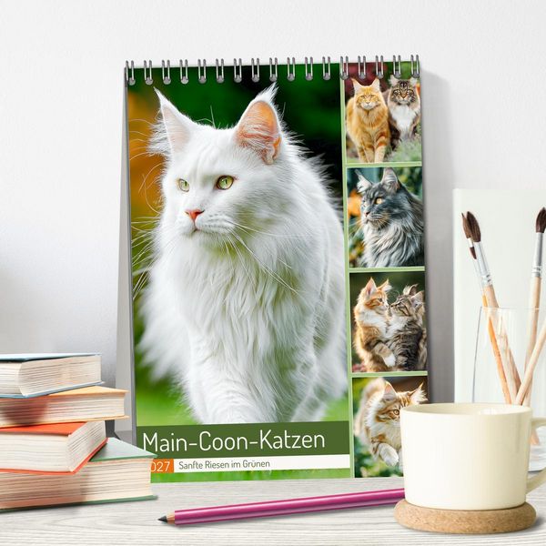 Produktbild: Main-Coon-Katzen. Sanfte Riesen im Gr&uuml;nen (Tischkalender 2027 DIN A5 hoch), CALVENDO Monatskalender