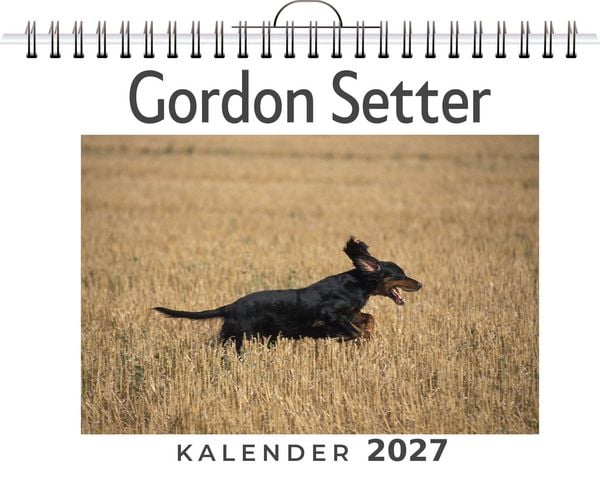 Produktbild: Gordon Setter