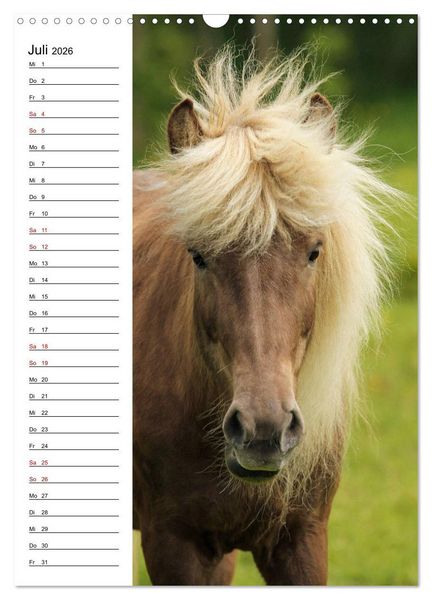Produktbild: Isl&auml;nder im Portrait (Wandkalender 2026 DIN A3 hoch), CALVENDO Monatskalender