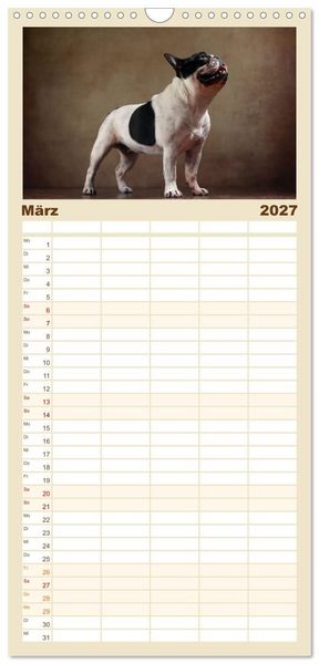 Produktbild: Familienplaner 2027 - Charme auf vier Pfoten - Franz&ouml;sische Bulldoggen Portraits mit 5 Spalten (Wandkalender, 21 x 45 cm) CALVENDO