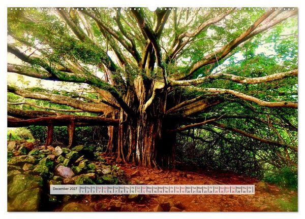Produktbild: Aloha Spirit &ndash; The Magic of Hawaii (High Quality Premium Wall Calendar 2027 DIN A2 landscape),CALVENDO 12 Month Wall Calendar