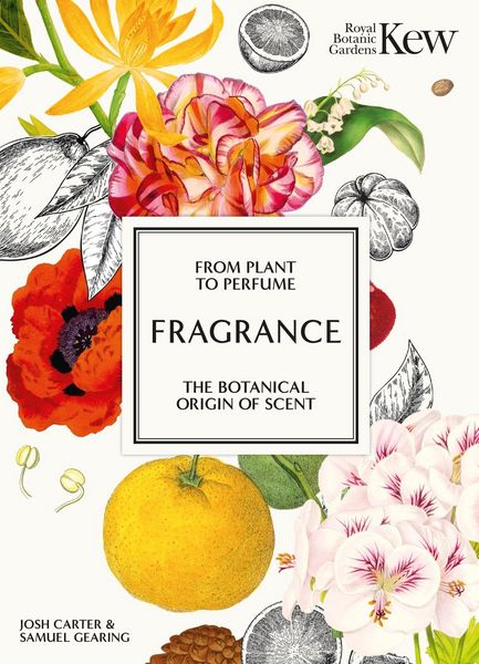 Produktbild: Fragrance
