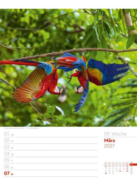 Produktbild: V&ouml;gel Wochenplaner Kalender 2027
