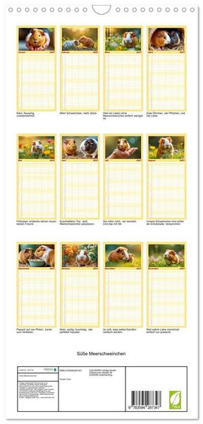 Produktbild: Familienplaner 2027 - S&uuml;&szlig;e Meerschweinchen mit 5 Spalten (Wandkalender, 21 x 45 cm) CALVENDO