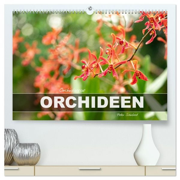 Produktbild: Orchidaceae - Orchideen (hochwertiger Premium Wandkalender 2026 DIN A2 quer), Kunstdruck in Hochglanz