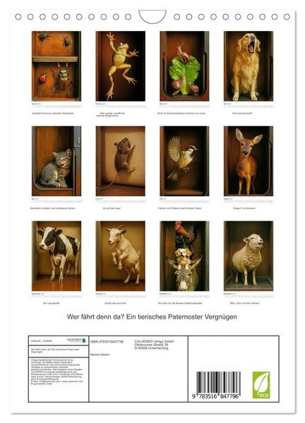 Produktbild: Wer f&auml;hrt denn da? Ein tierisches Paternoster Vergn&uuml;gen (Wandkalender 2027 DIN A4 hoch), CALVENDO Monatskalender