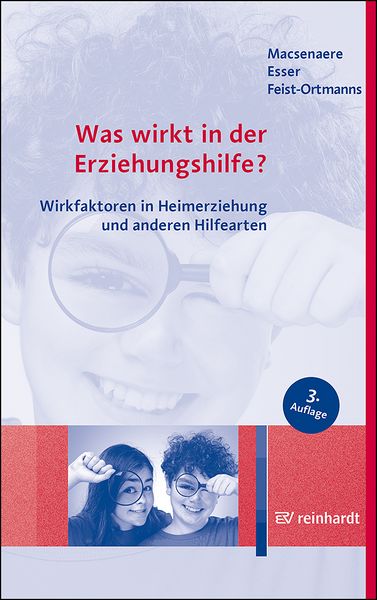 Produktbild: Was wirkt in der Erziehungshilfe?