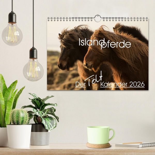 Produktbild: Islandpferde - Der T&ouml;lt Kalender (Wandkalender 2026 DIN A4 quer), CALVENDO Monatskalender