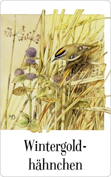 Produktbild: Schachtelspiel: Zauberhaftes Vogel-Memo (M. Bastin)
