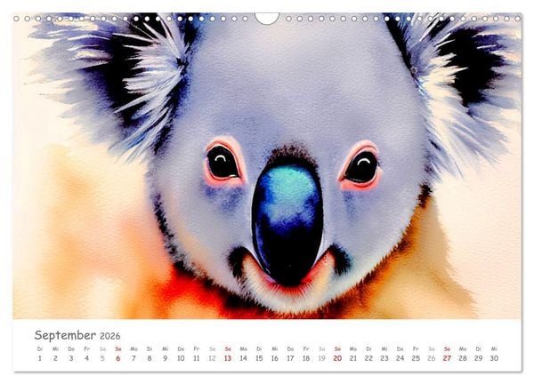 Produktbild: Der Koala 2026. Aschgrauer Beutelb&auml;r (Wandkalender 2026 DIN A3 quer), CALVENDO Monatskalender
