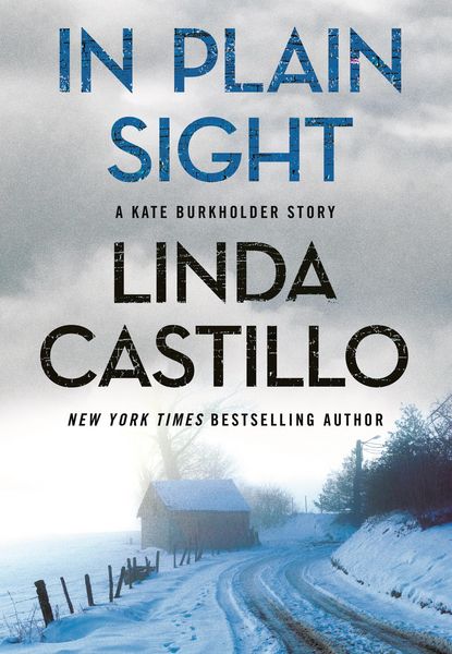 Produktbild: In Plain Sight