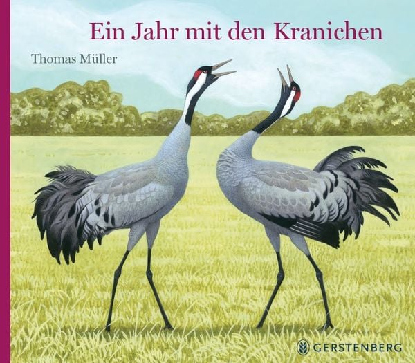 Produktbild: Ein Jahr mit den Kranichen