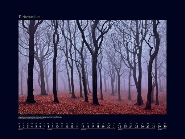 Produktbild: Magische W&auml;lder der Erde - KUNTH Wandkalender 2027