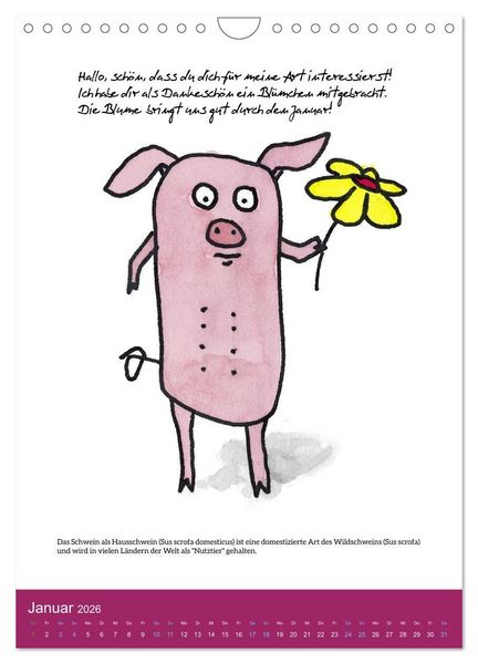 Produktbild: Schweinekalender - Alles was du &uuml;ber Schweine wissen wolltest! (Wandkalender 2026 DIN A4 hoch), CALVENDO Monatskalender