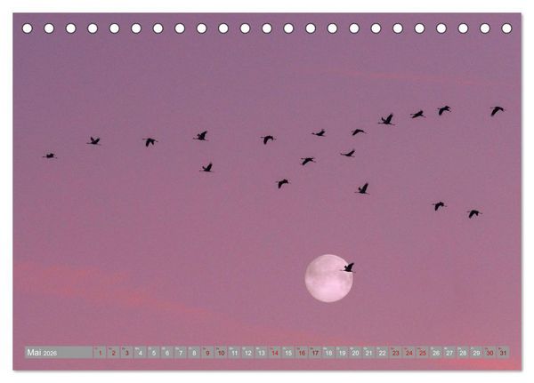 Produktbild: Vollmond - Momente der Ruhe (Tischkalender 2026 DIN A5 quer), CALVENDO Monatskalender