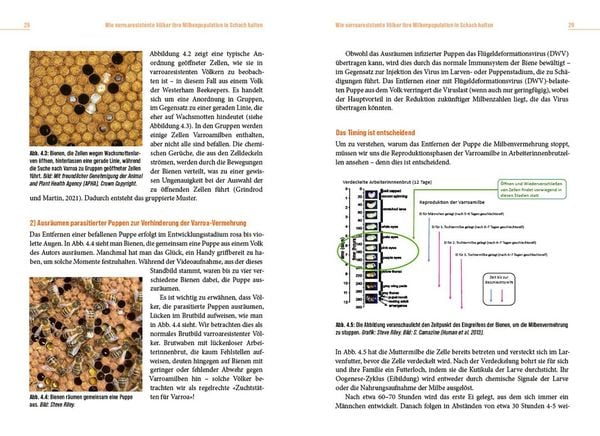 Produktbild: Die L&ouml;sung der Honigbiene f&uuml;r das Varroa-Problem