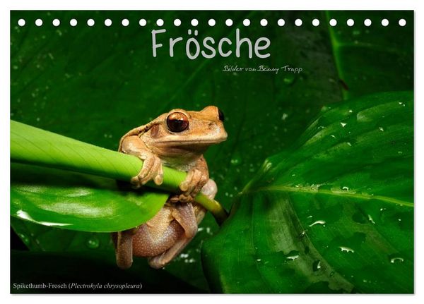 Produktbild: Fr&ouml;sche (Tischkalender 2026 DIN A5 quer), CALVENDO Monatskalender