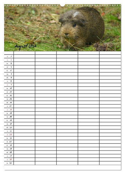 Produktbild: Meerschweinchen und Kaninchen Familienplaner (hochwertiger Premium Wandkalender 2026 DIN A2 hoch), Kunstdruck in Hochglanz
