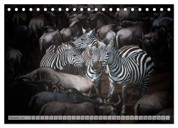 Produktbild: Emotionale Momente: Afrika Wildlife Part 2 / CH-Version (Tischkalender 2026 DIN A5 quer), CALVENDO Monatskalender