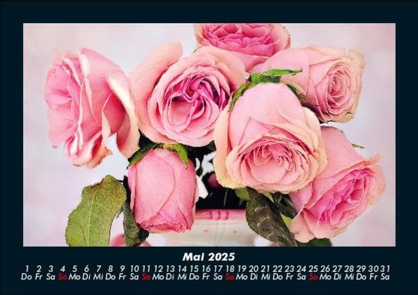 Produktbild: Rosen-Kalender 2025 Fotokalender DIN A5
