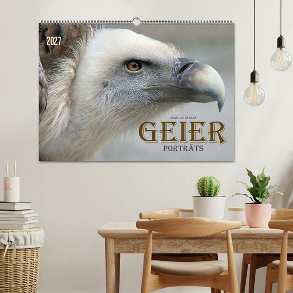 Produktbild: GEIERPORTR&Auml;TS (Wandkalender 2027 DIN A2 quer), CALVENDO Monatskalender