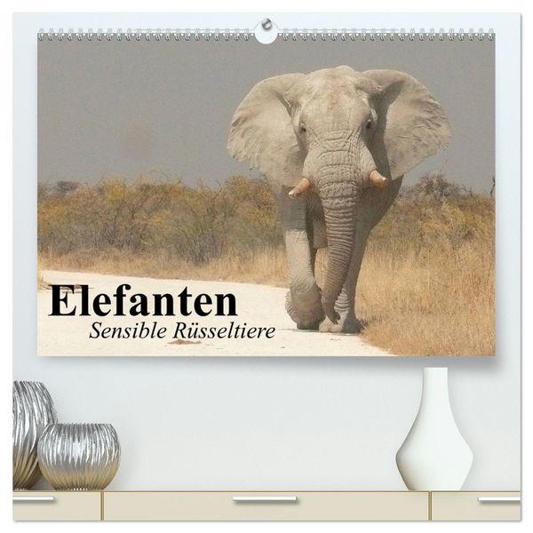 Produktbild: Elefanten. Sensible R&uuml;sseltiere (hochwertiger Premium Wandkalender 2026 DIN A2 quer), Kunstdruck in Hochglanz